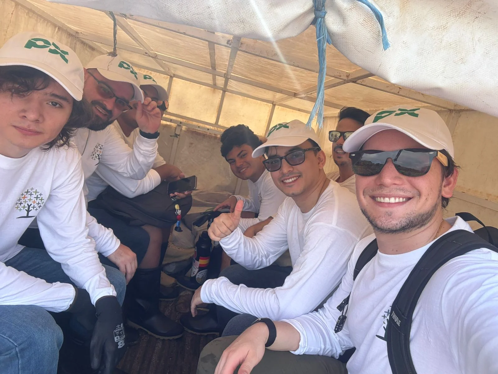 Tree planting activity