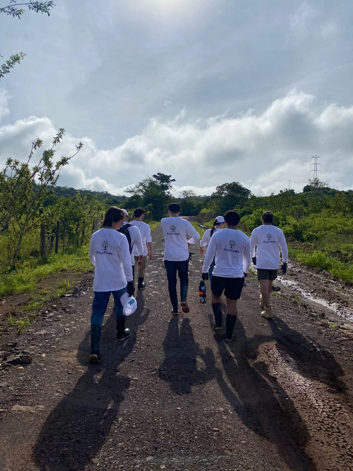 Environmental impact