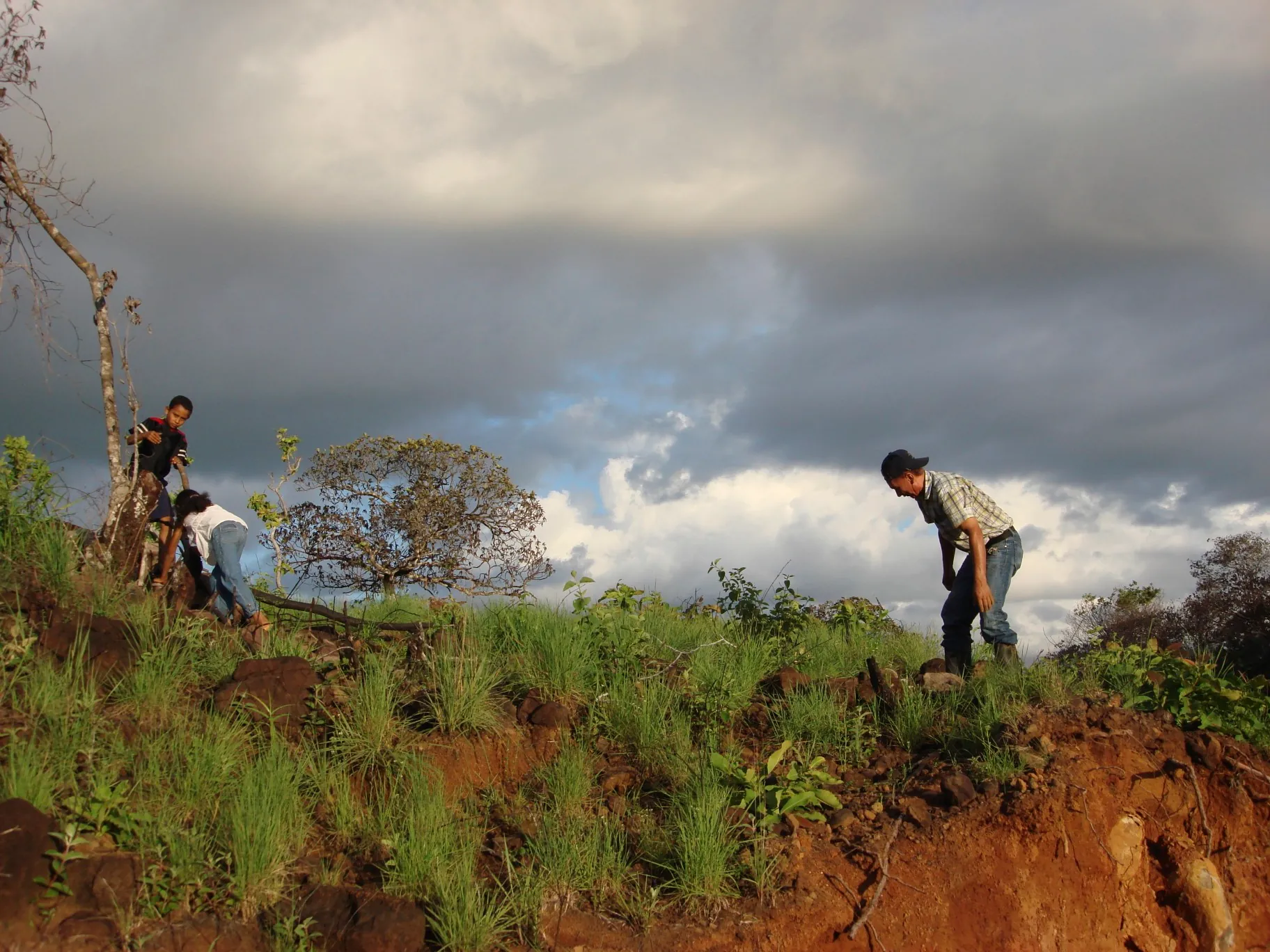 Tree planting impact photo