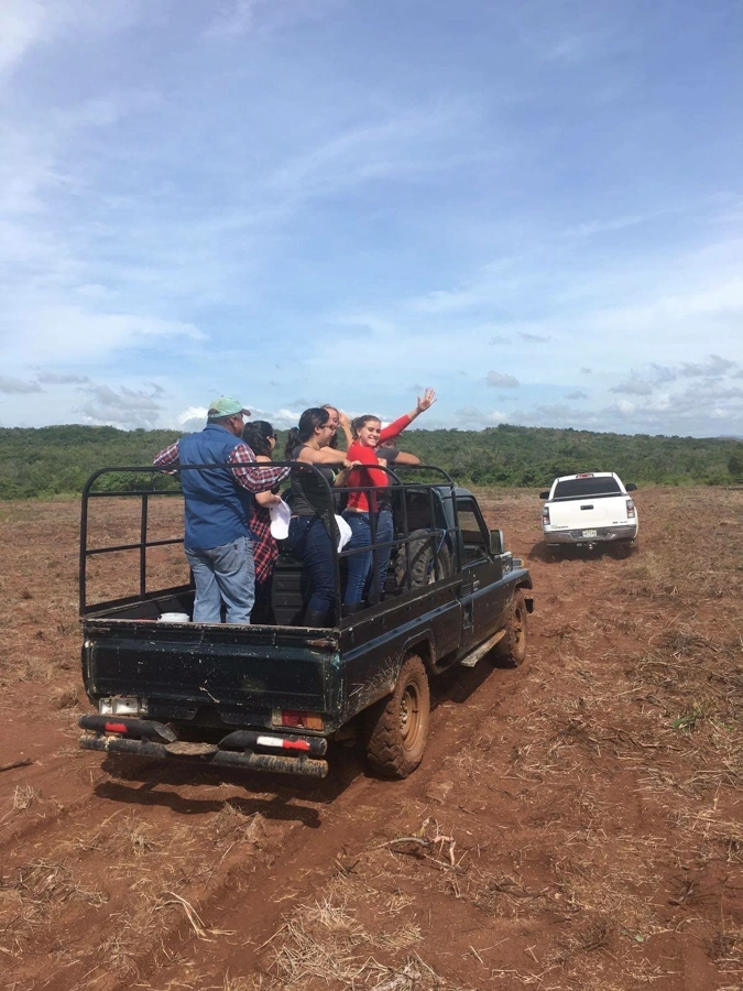 Environmental restoration