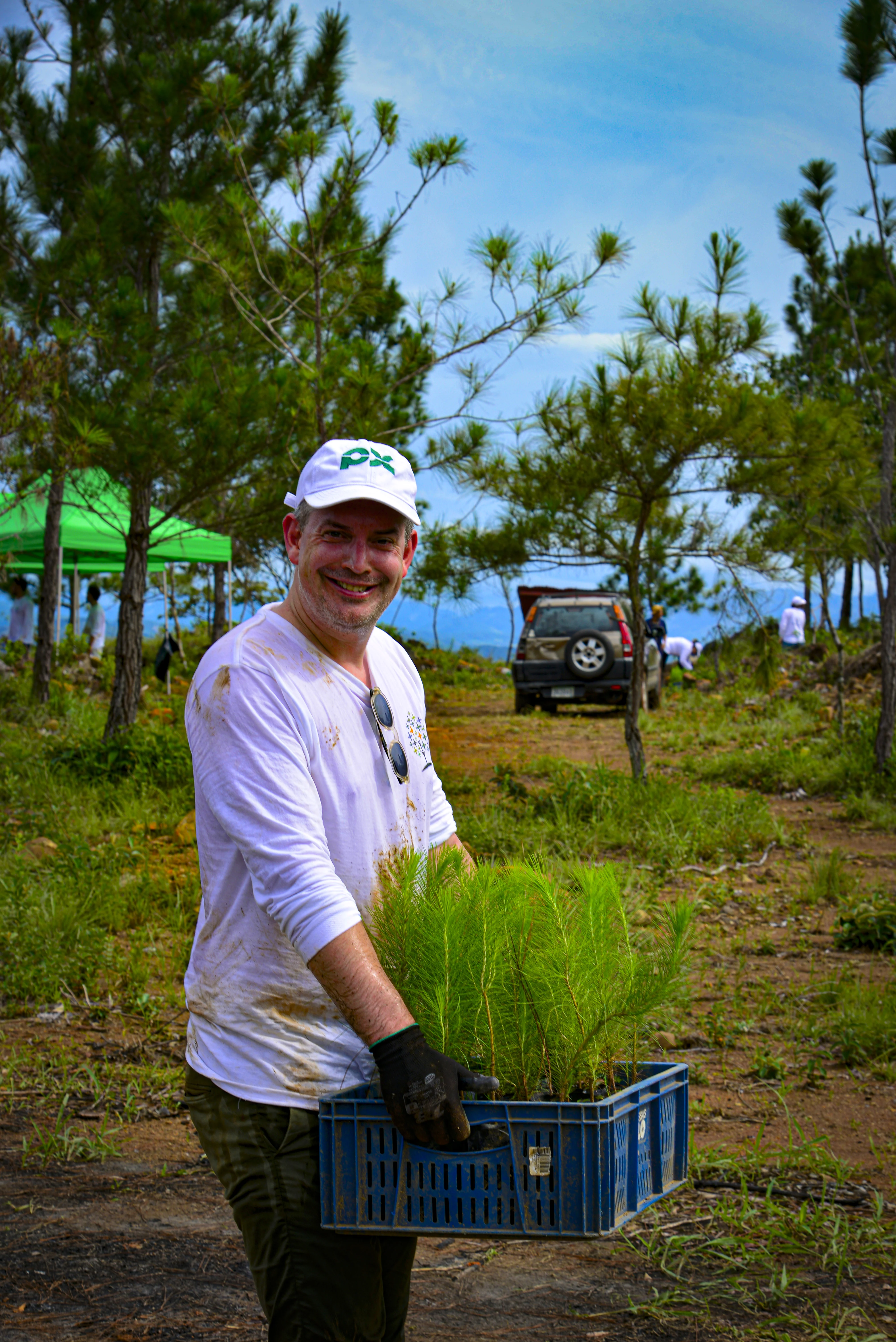 Reforestation in Veraguas
