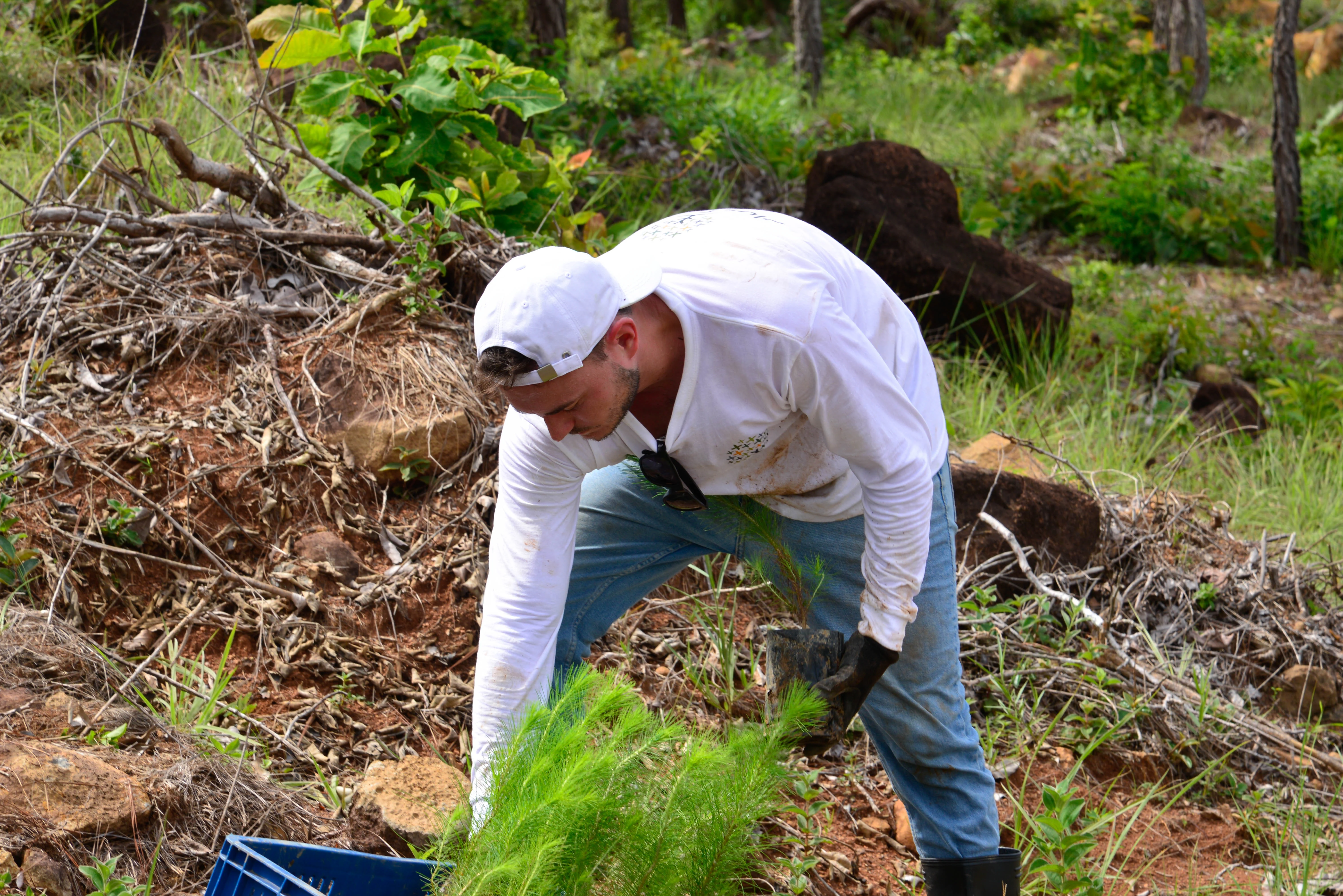 Environmental restoration