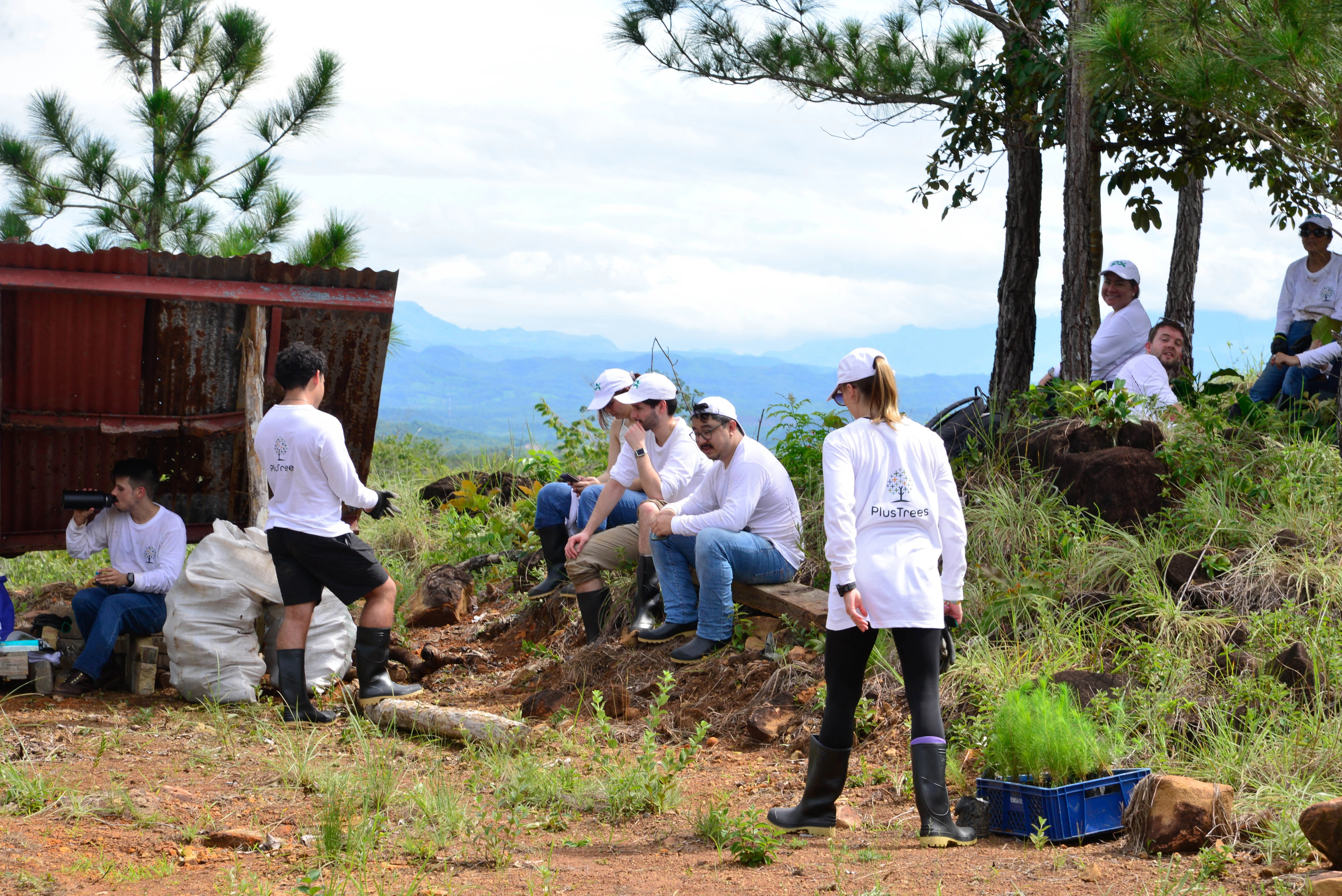 PX becomes carbon-neutral with PlusTrees