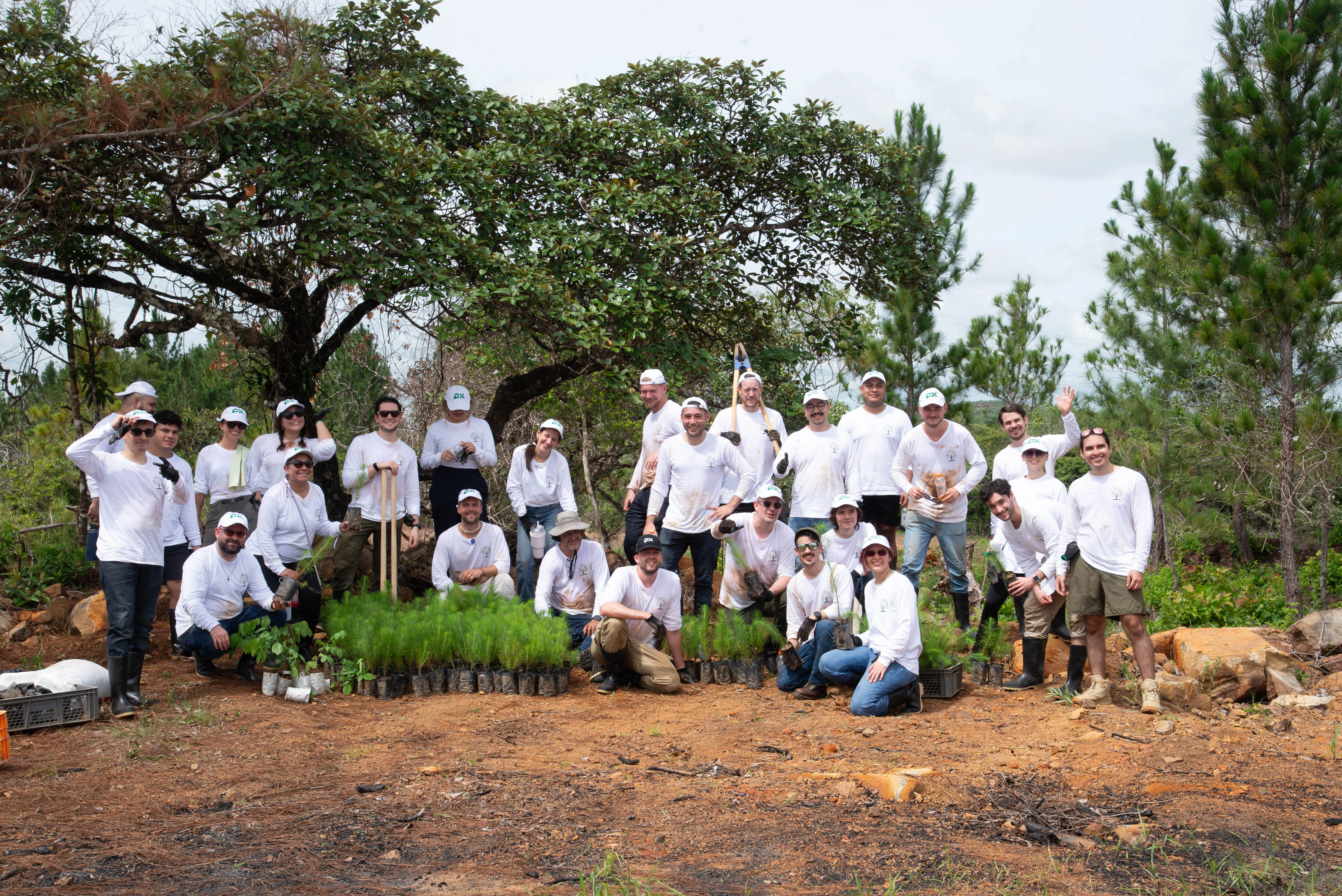 Tree planting impact photo