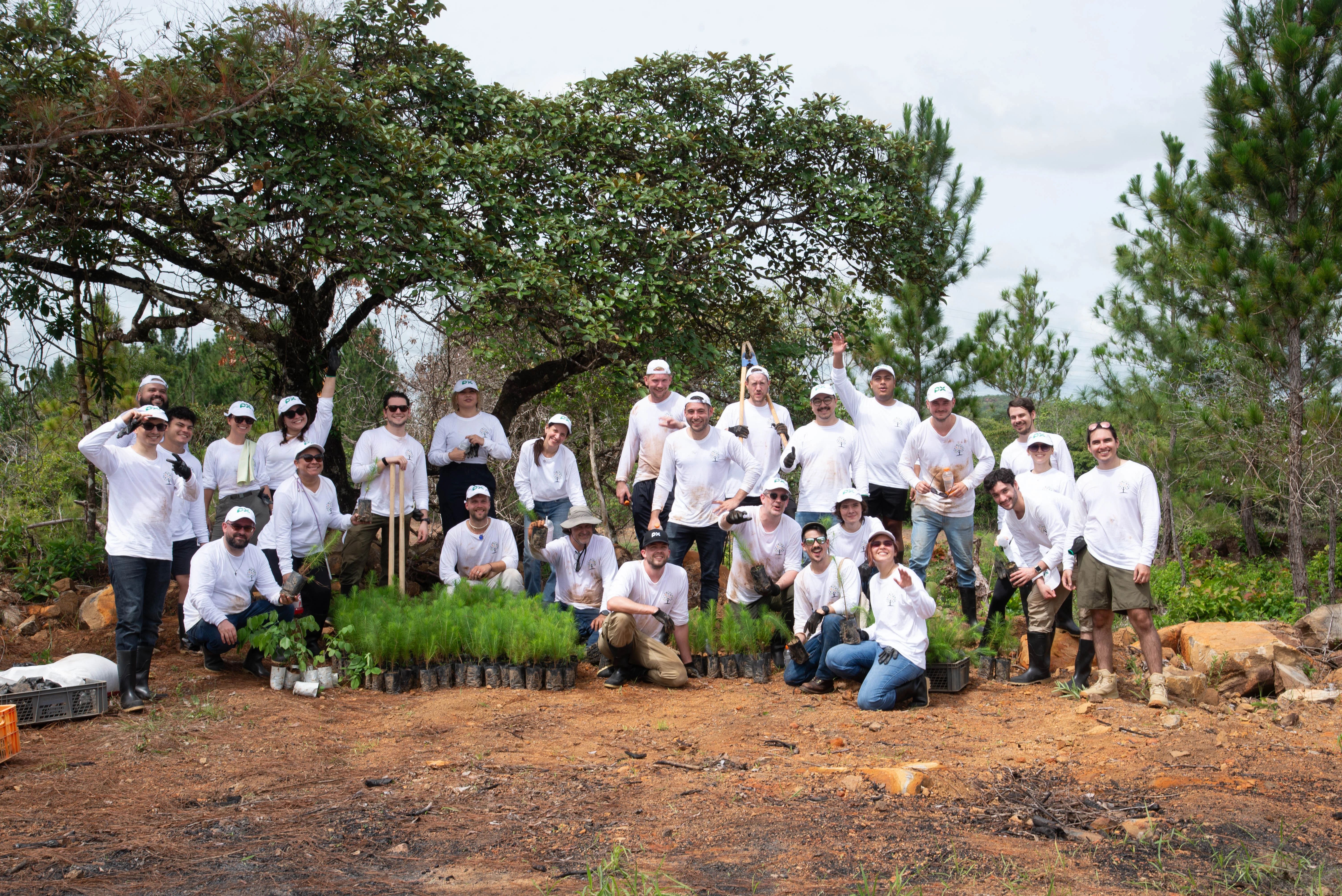 PX team planting trees in Veraguas