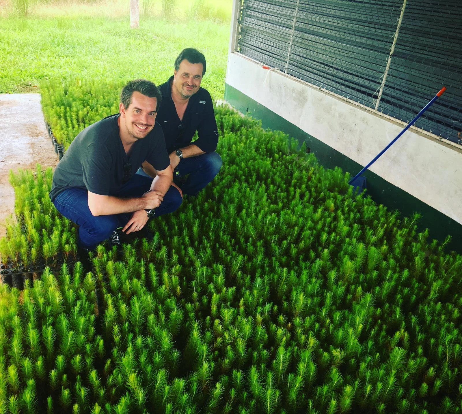 Bas and Frans with trees